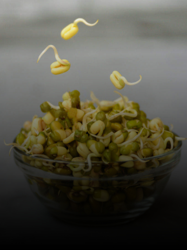 7 Tips for Knowing When to Enjoy Your Sprouts